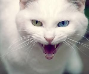 è�������е��� ������Ϊ��Ҫ��