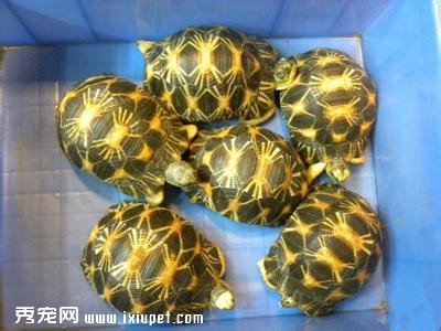 ��Ҳ��ó�θ�ף���֪��������ԭ����