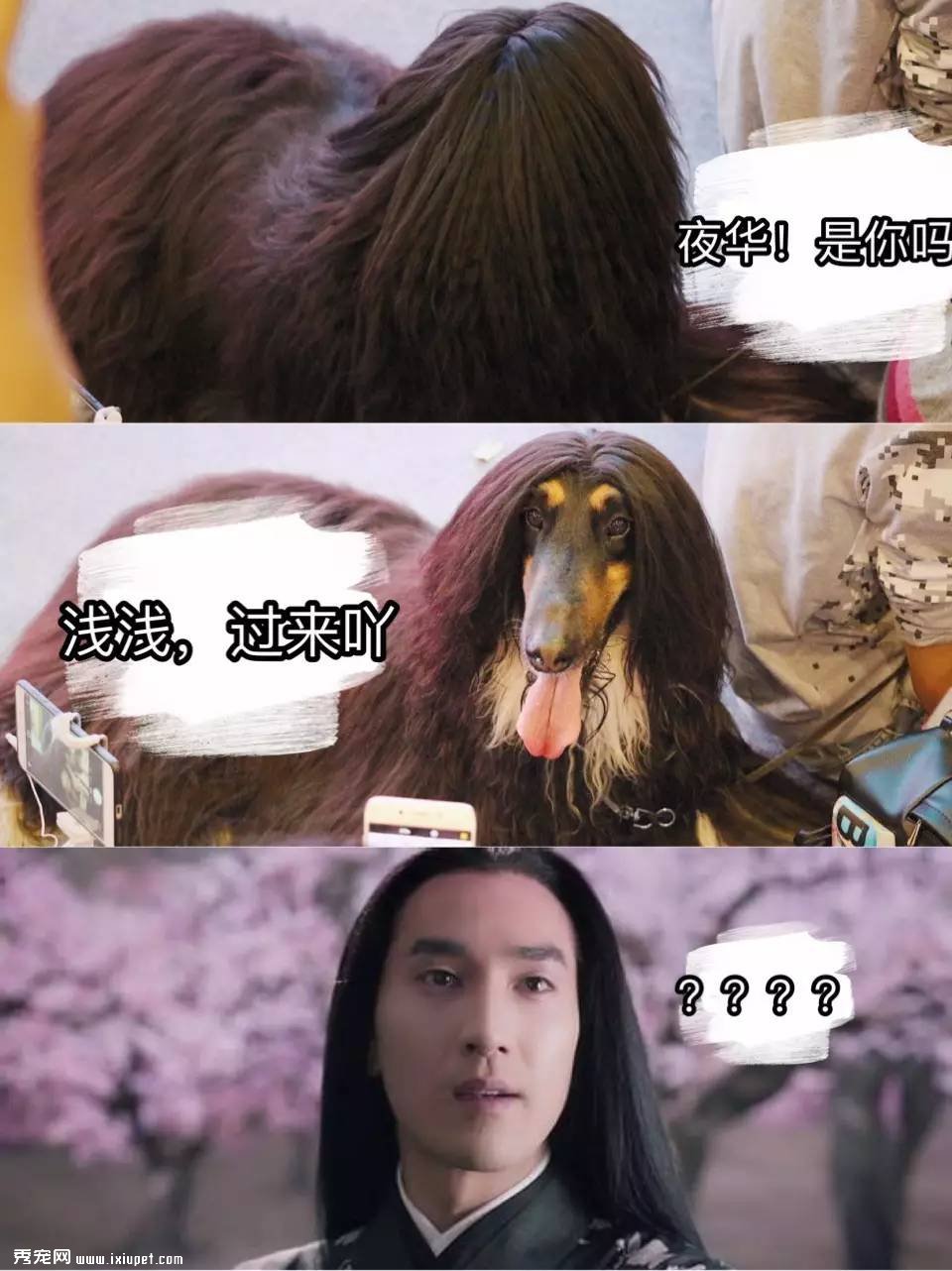 ���ȳ����������ɶ����ʳ販�᣺�˷��ֳ����ڡ��
