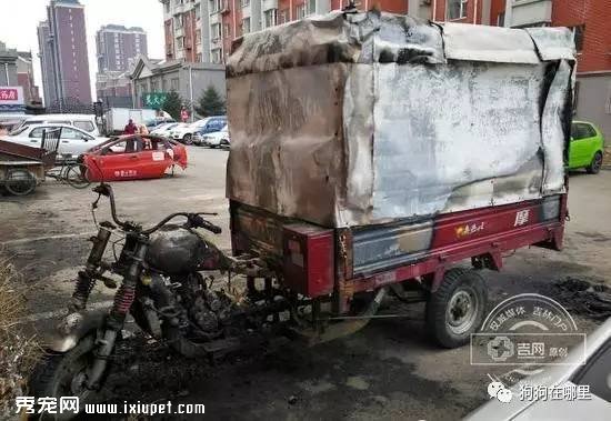 Ů�ӳ��ﹷ��ײ����Ϊй�ߣ���Ȼ�����ջ�ʮ��������