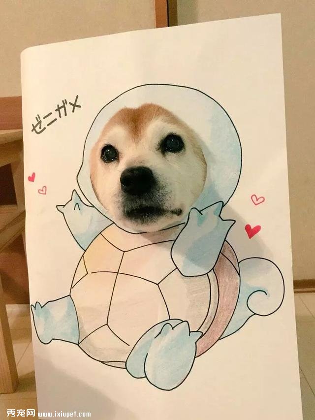 ������С�������ϲ�Ȯ�� ����Ļ��������