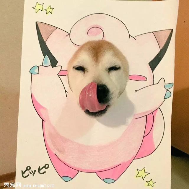 ������С�������ϲ�Ȯ�� ����Ļ��������