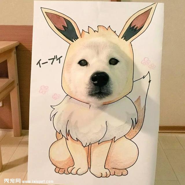 ������С�������ϲ�Ȯ�� ����Ļ��������