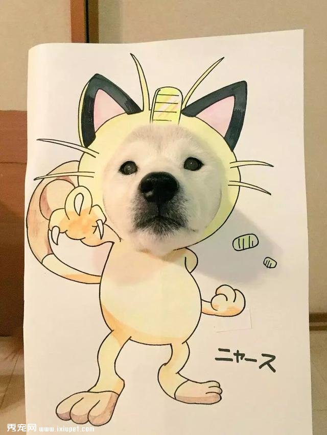 ������С�������ϲ�Ȯ�� ����Ļ��������