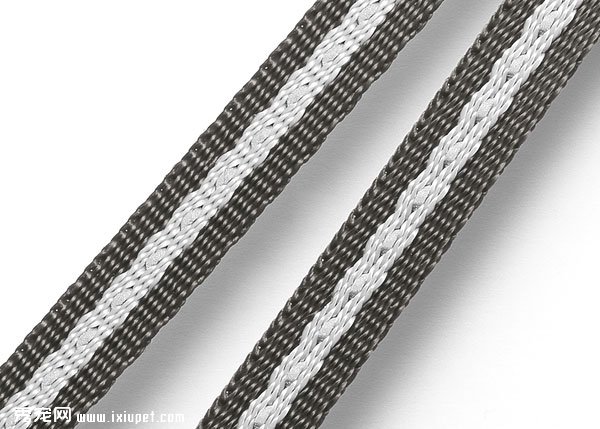 ������ϣDuo Belt����ͬʱǣ����ֻС��Ȯ