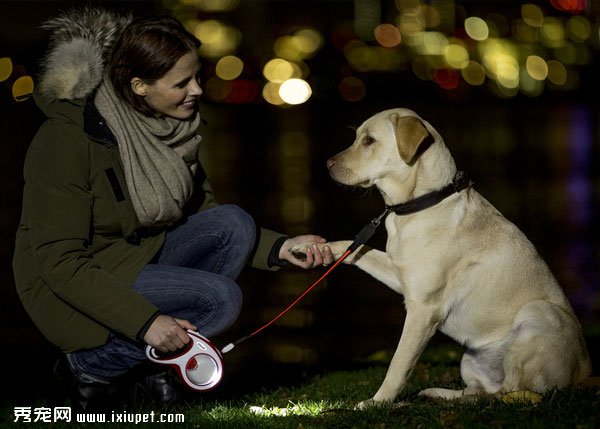 ������ϣLED Flash Belt��LED�ƹ�ʺ�ɫ