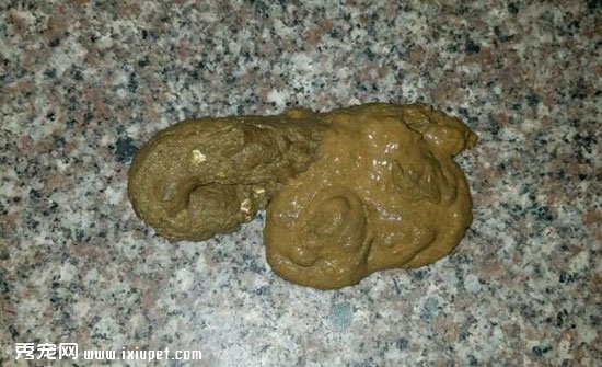 ��è�����콢����Ĺ����������?