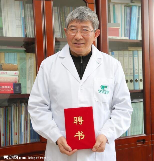 ��ӷ����ڼ��밲����ҽ �����й�����ҽ����ҵ