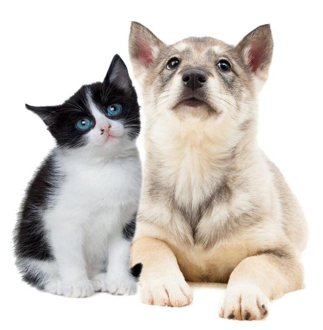 ��ӷ����ڼ��밲����ҽ �����й�����ҽ����ҵ