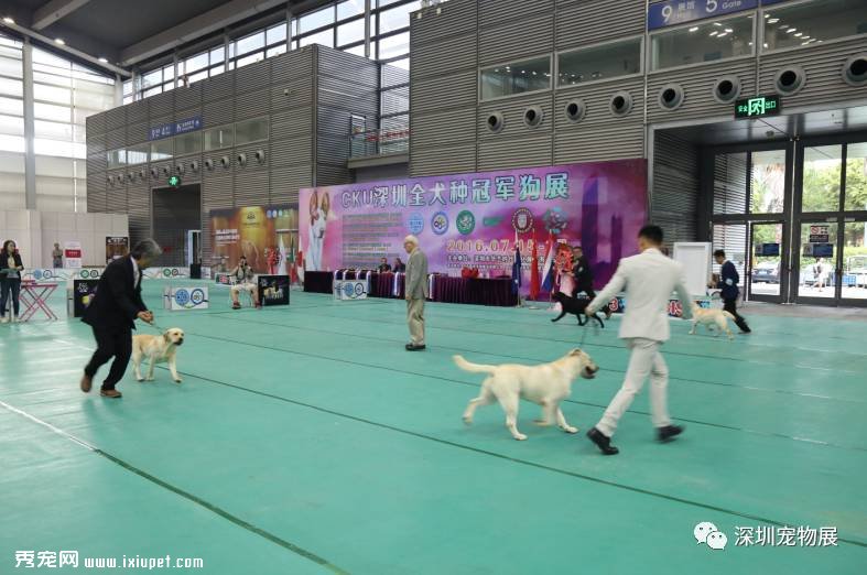 Ǭ�����ȳ� | FM1062������ת���չ���������죡���죡