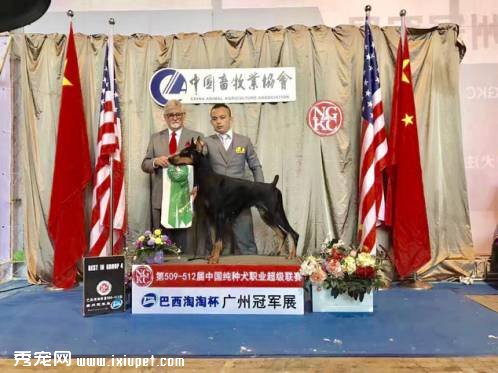 ���úڰ塿WOW����������֮��ͥ��Ȯ֪ʶ���ÿ����ڼ���