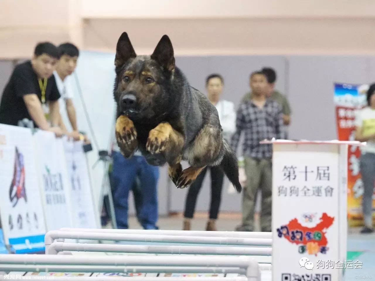 ����ȫ���˶��ᣨ����վ�����й����������Ʒ�����ἴ��¡�ؿ�����