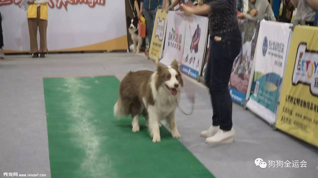 ����ȫ�˻����վ����ʻع�