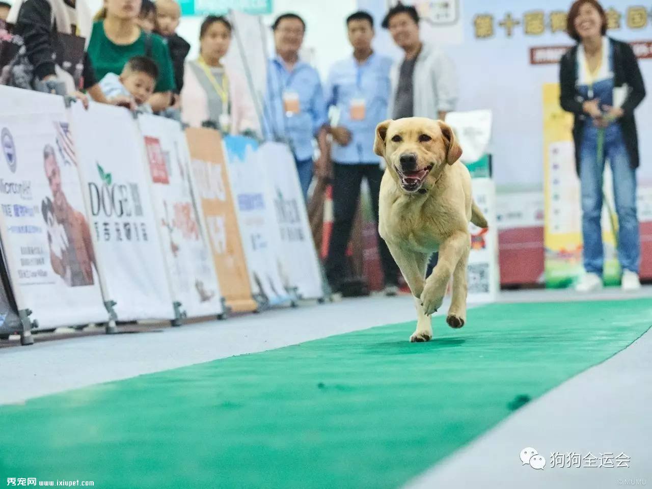 ����ȫ�˻����վ����ʻع�