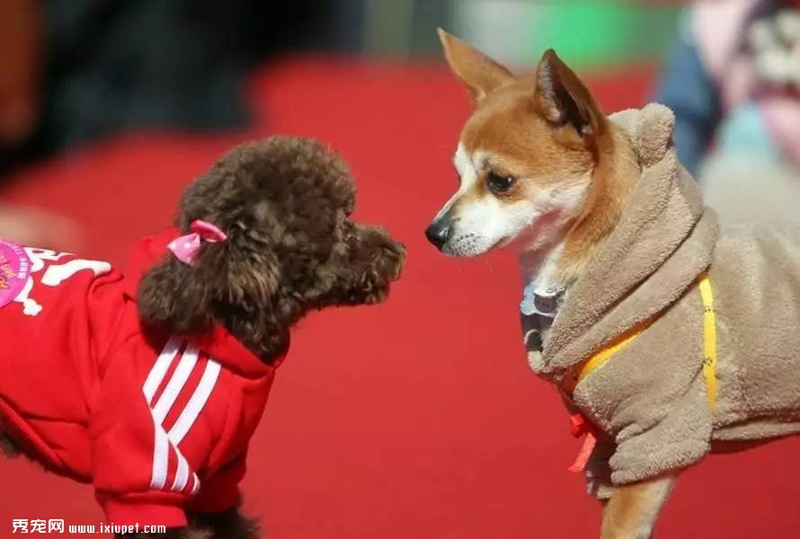 �й������г�����ͻ��1000�ڣ�ȴΪ�λ�û��һ�Ҷ����ޣ�