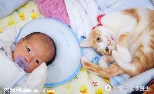 ���Ů�˻��ж�Ҫ�������Ϊ��ģ�ֻ��������һ�㣡
