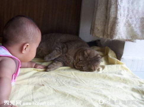 ���Ů�˻��ж�Ҫ�������Ϊ��ģ�ֻ��������һ�㣡