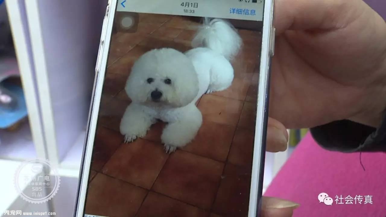 ������ʧ������3000Ԫ��л�Ѳ��ûأ������˴�������ɣ�