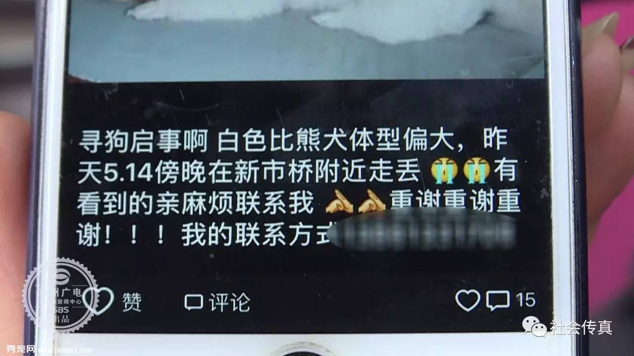 ������ʧ������3000Ԫ��л�Ѳ��ûأ������˴�������ɣ�