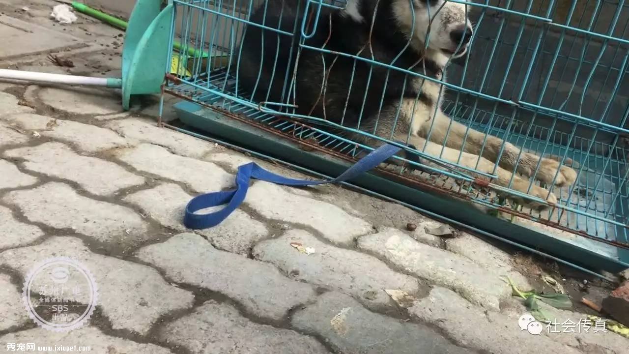 ������ʧ������3000Ԫ��л�Ѳ��ûأ������˴�������ɣ�