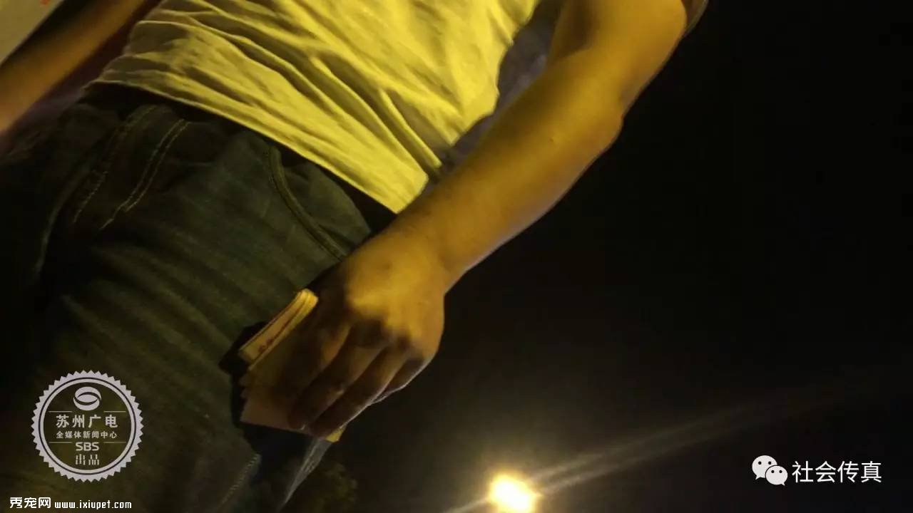 ������ʧ������3000Ԫ��л�Ѳ��ûأ������˴�������ɣ�