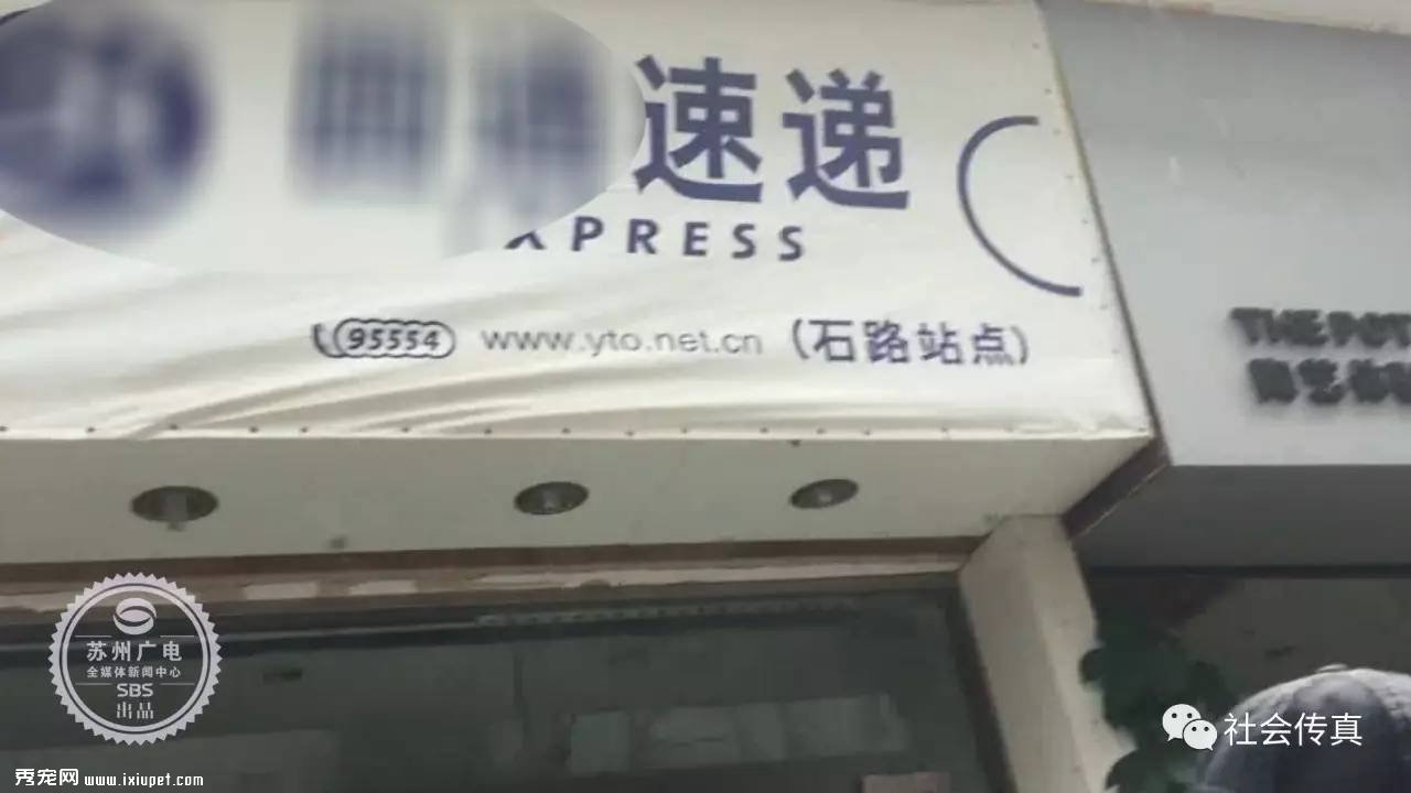 ������ʧ������3000Ԫ��л�Ѳ��ûأ������˴�������ɣ�