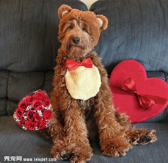 ���������룬����һ������Ȼ��ˣ�