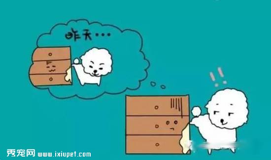 �������ᶨ���ű㣿����Ӧ����ôѵ��