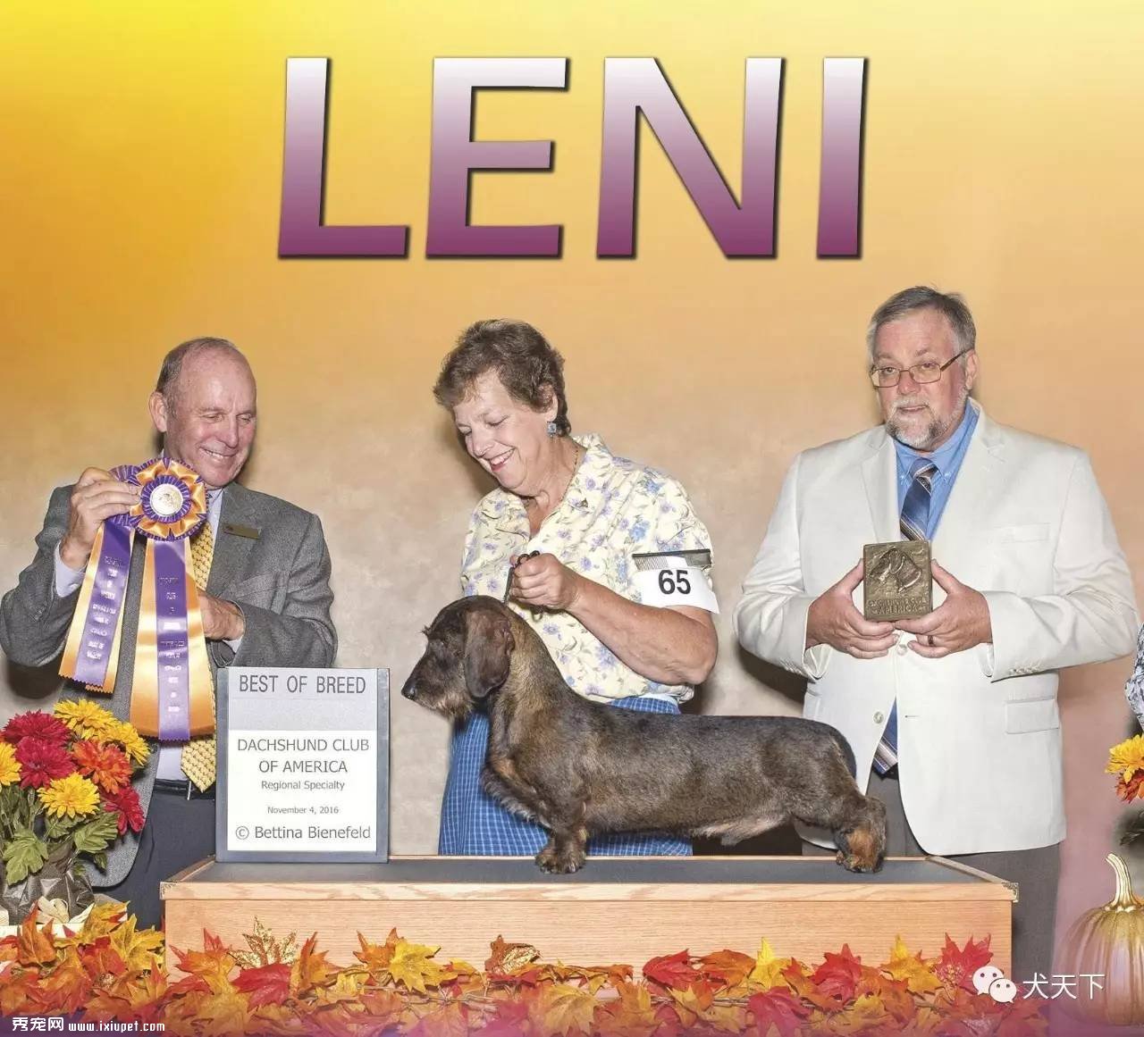 Leni��������AKC��ë����Ȯ����NO1