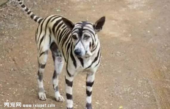 �ʱ����ϡ�����ҽ�ơ� ����ҽԺ���豸Ҳ�ܴ�����ˣ�