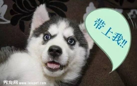 ������ָ����飡��ߣè����Ҳ��������ְҵ��