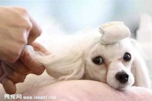 ������ָ����飡��ߣè����Ҳ��������ְҵ��
