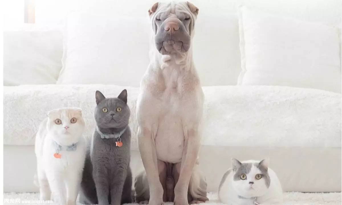 �����������֣���ҳ���ʳƷ��˾�������ؽ�������