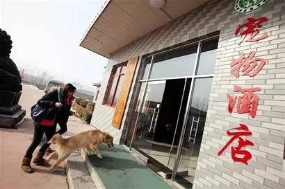 �������������⣬���Ķ��־�Ȼ����
