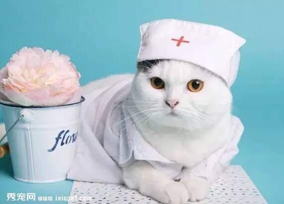 �����ǳ���ҽ��Ԫ�꣬���ﱣ�յĴ��컹�ж�Զ��