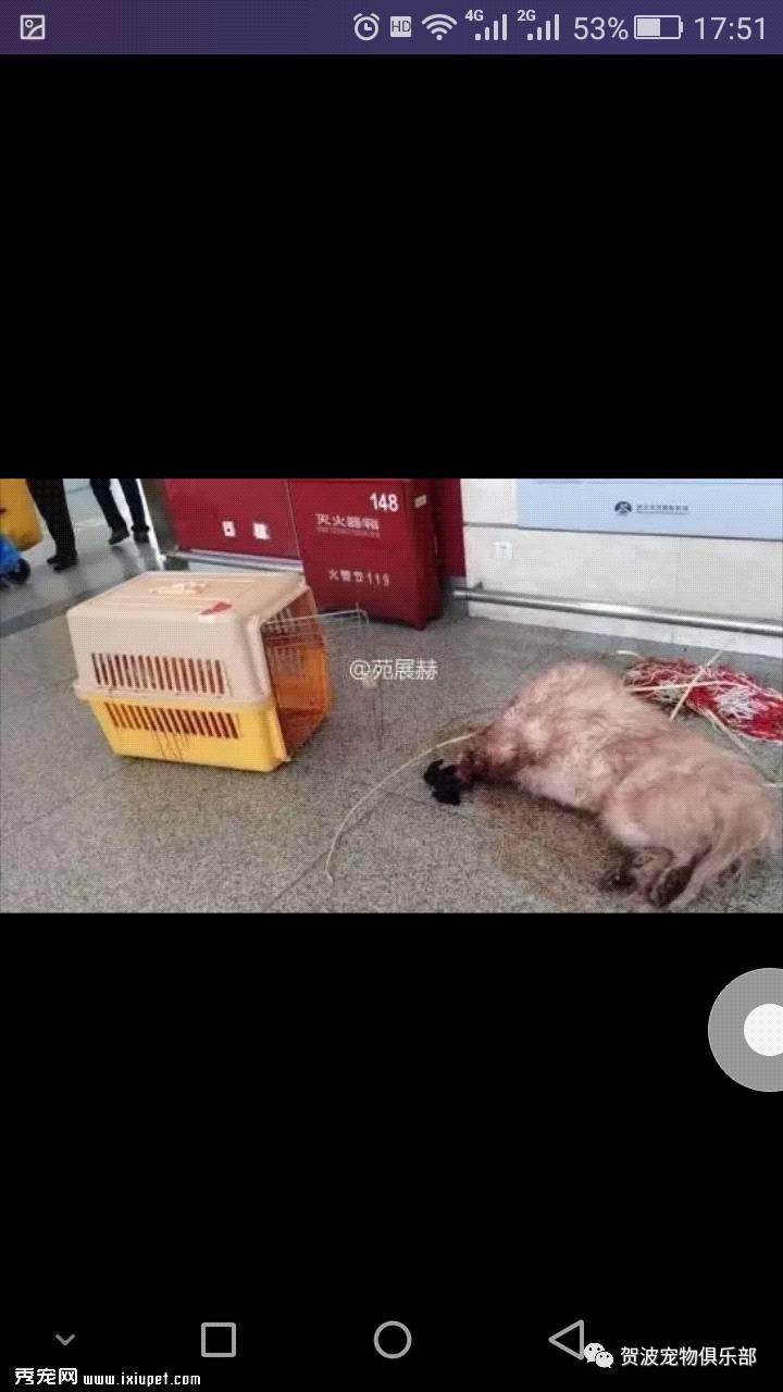 �������������ֳ��£������������ܰ�ȫ����ë���ӣ�