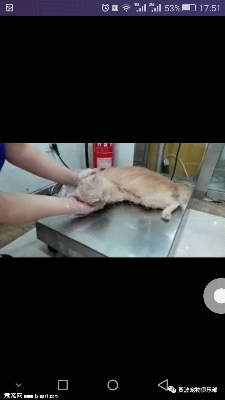 �������������ֳ��£������������ܰ�ȫ����ë���ӣ�