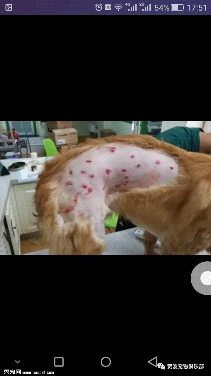 �������������ֳ��£������������ܰ�ȫ����ë���ӣ�