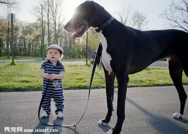 �۹�չ����δ����������ҵ�ķ�չ������ɸ����ϣ�