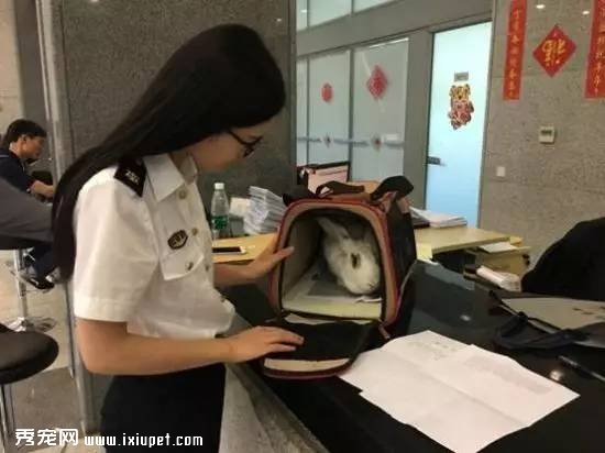 �����ȻҲ�������ֻ�����֪������ô��绰��