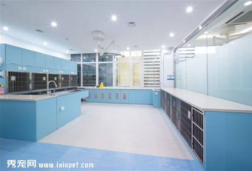�����ȻҲ�������ֻ�����֪������ô��绰��