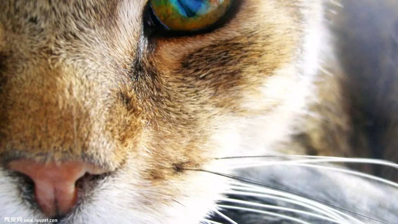��������ȥ����������������������