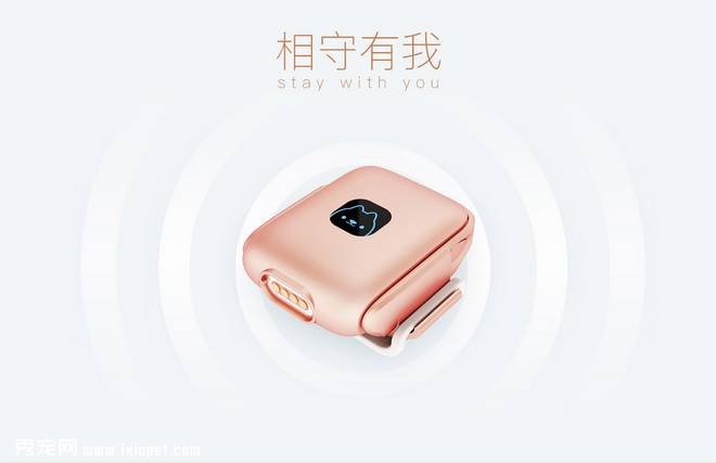 ����֮�󣬵�����һ��ӵ�������豸�������ǡ���