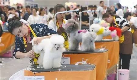 ����ѡ����������ٱ䡰�����ˡ��ȷ�����