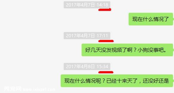 58���򹷿����𣿿����������ξ����ҳ�Ĭ��