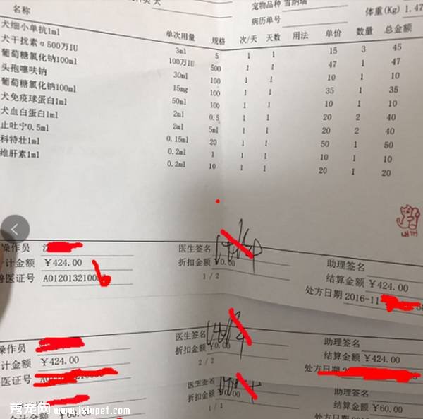 58���򹷿����𣿿����������ξ����ҳ�Ĭ��