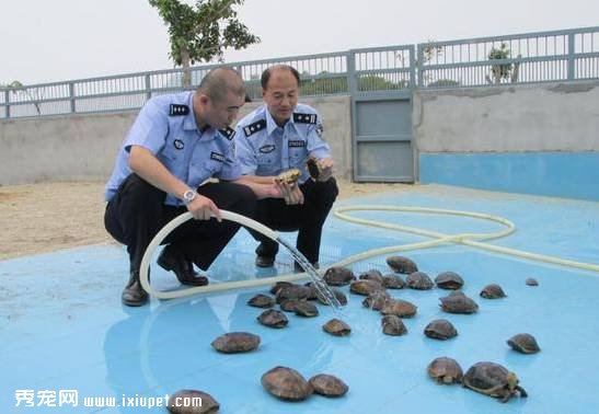 �ⳡ����һ��Ŀ�ʢ�磬����һ��������G��