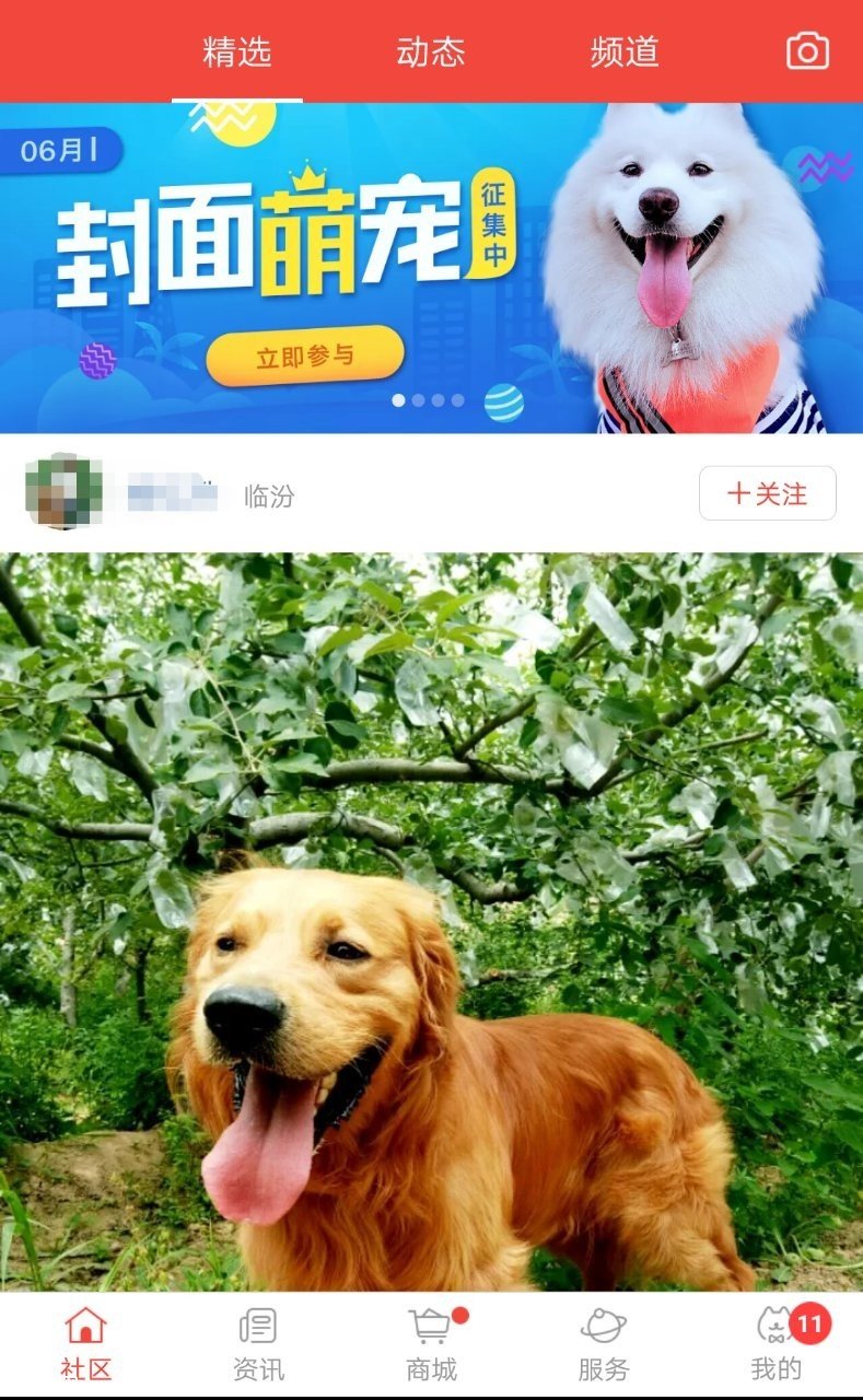 Ϊʲô��ЩAPP����װ���������罻��