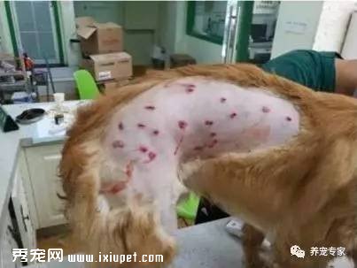 �̶�����ʱ�䣬�����ٴη������������¹ʣ�