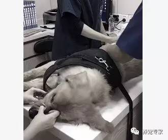�̶�����ʱ�䣬�����ٴη������������¹ʣ�